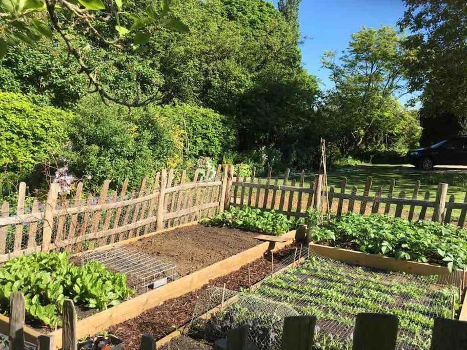 Masons Cottage, An Idyllic Retreat In An Area Of Outstanding Beauty, Close To Blenheim Palace, Oxford & The Cotswolds Stonesfield Luaran gambar